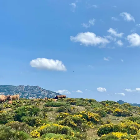 Le Refuge De Castagnols Guest house